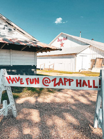 White building with 'Zapp Hall' sign and 'Have Fun @ Zapp Hall!' sign in front.