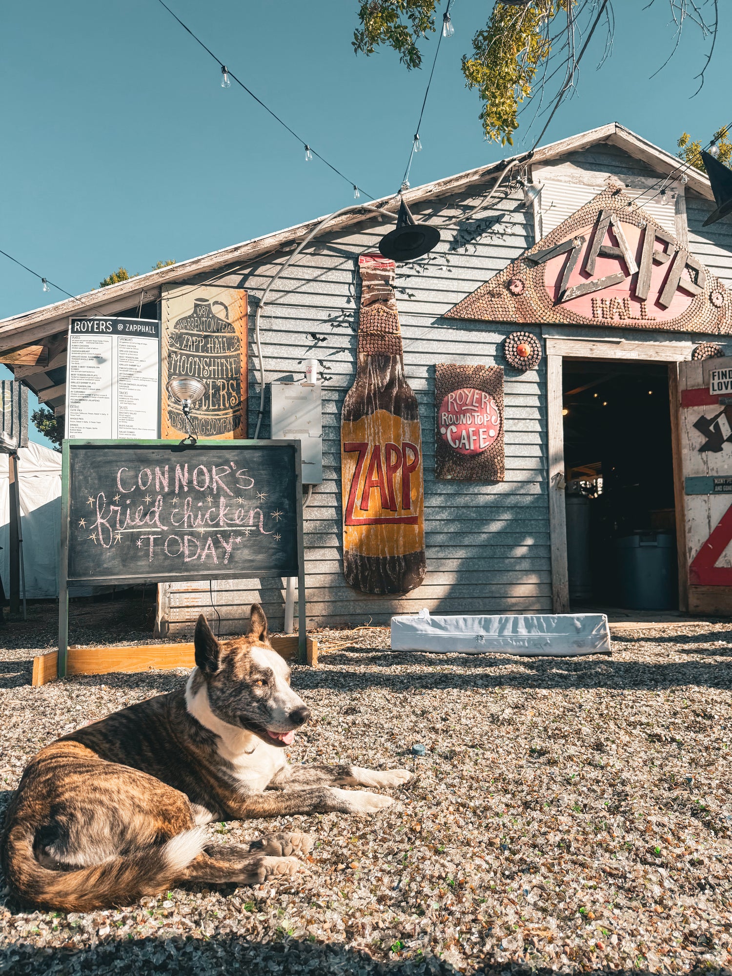 Dog lying in front of a rustic building with 'Zapp's' branding and a large bottle graphic.